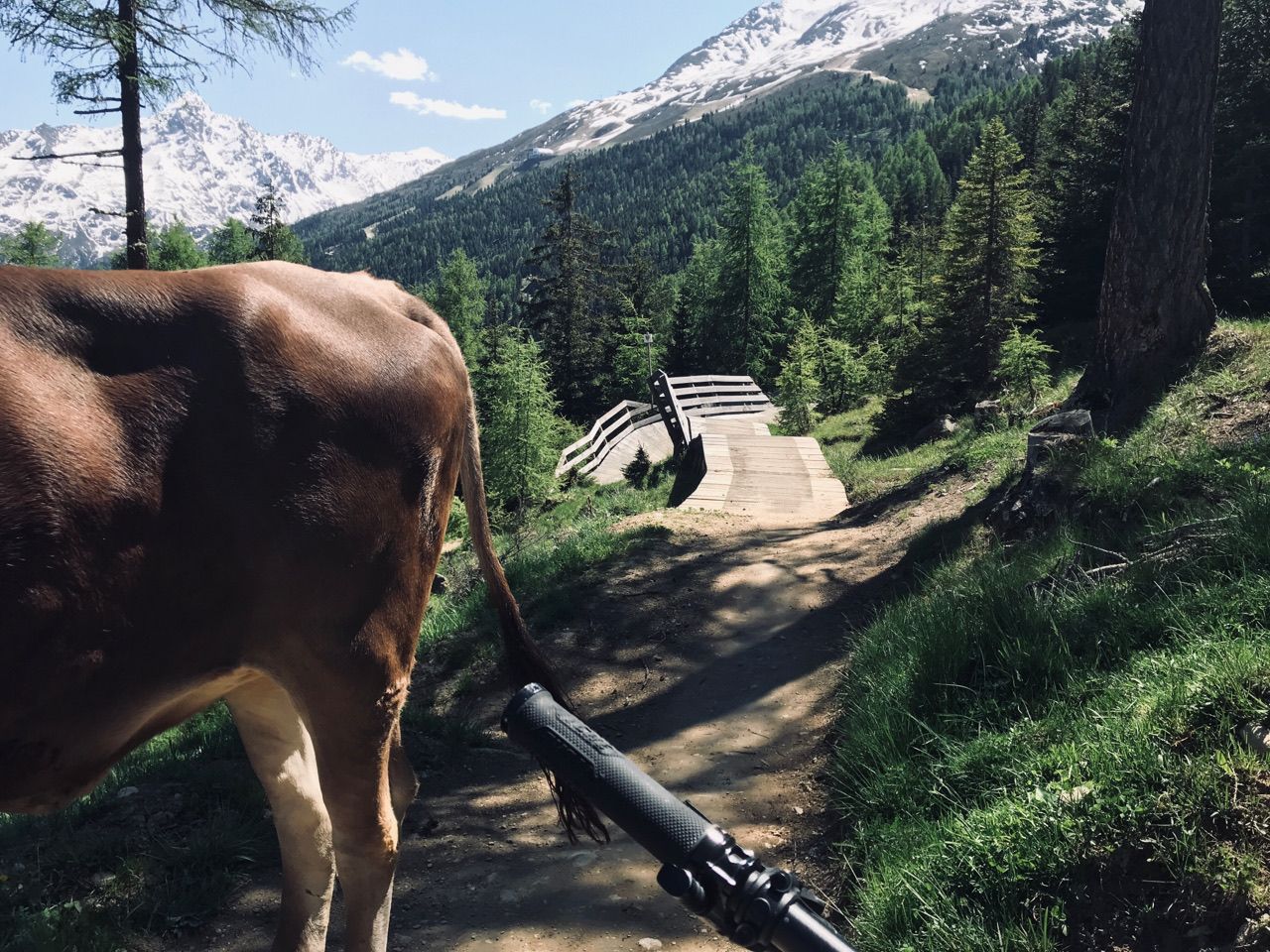 Bürger der BIKE REPUBLIC SÖLDEN