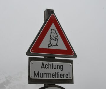 Gestern war Fresstag – heute ist Schimmeltag