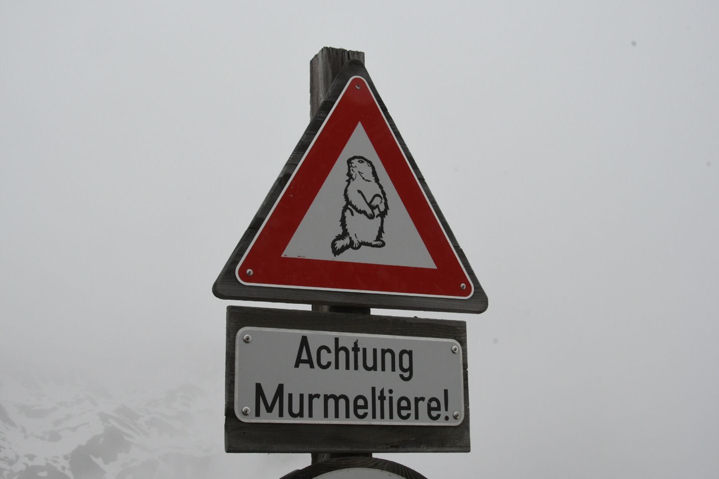 Gestern war Fresstag – heute ist Schimmeltag