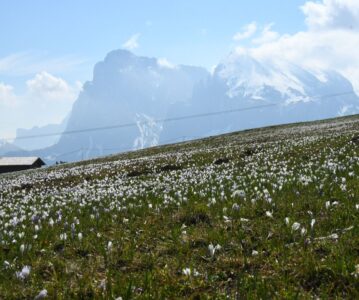 Seiser Alm
