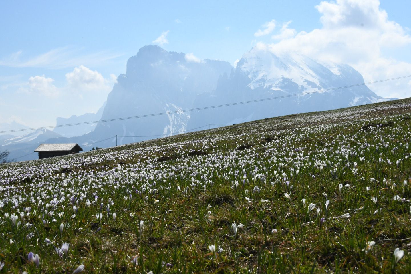 Seiser Alm