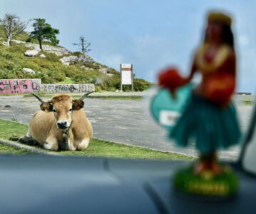 Car Wash