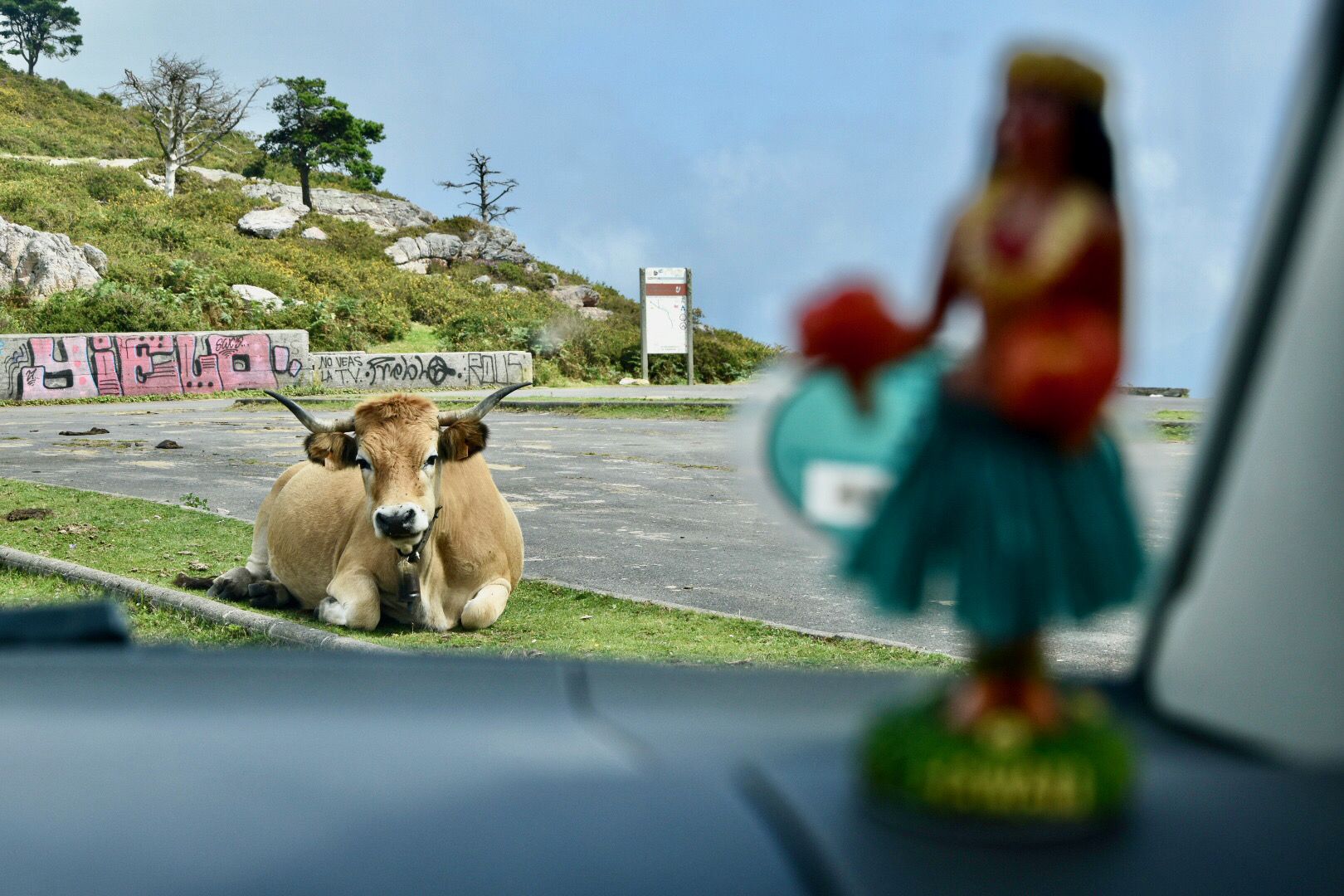 Car Wash