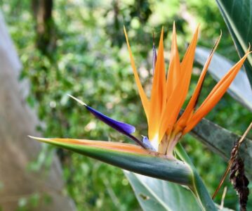Botanischer Garten