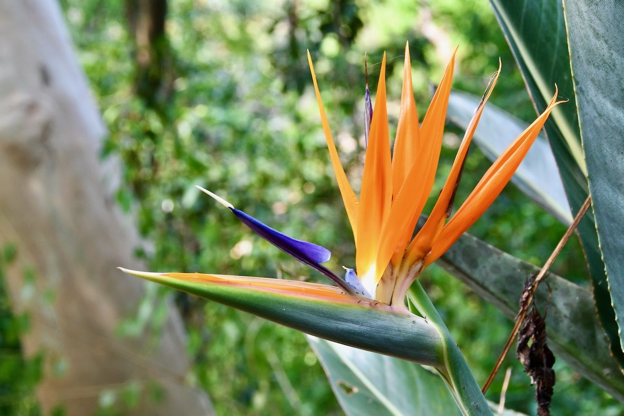 Botanischer Garten
