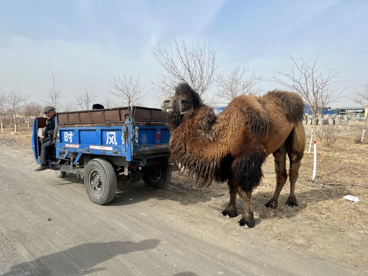 Xinjiang – Wild Wild West
