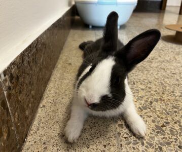 Besuch!
