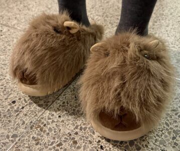 Hinter den Haaren hört man nicht mehr auf.