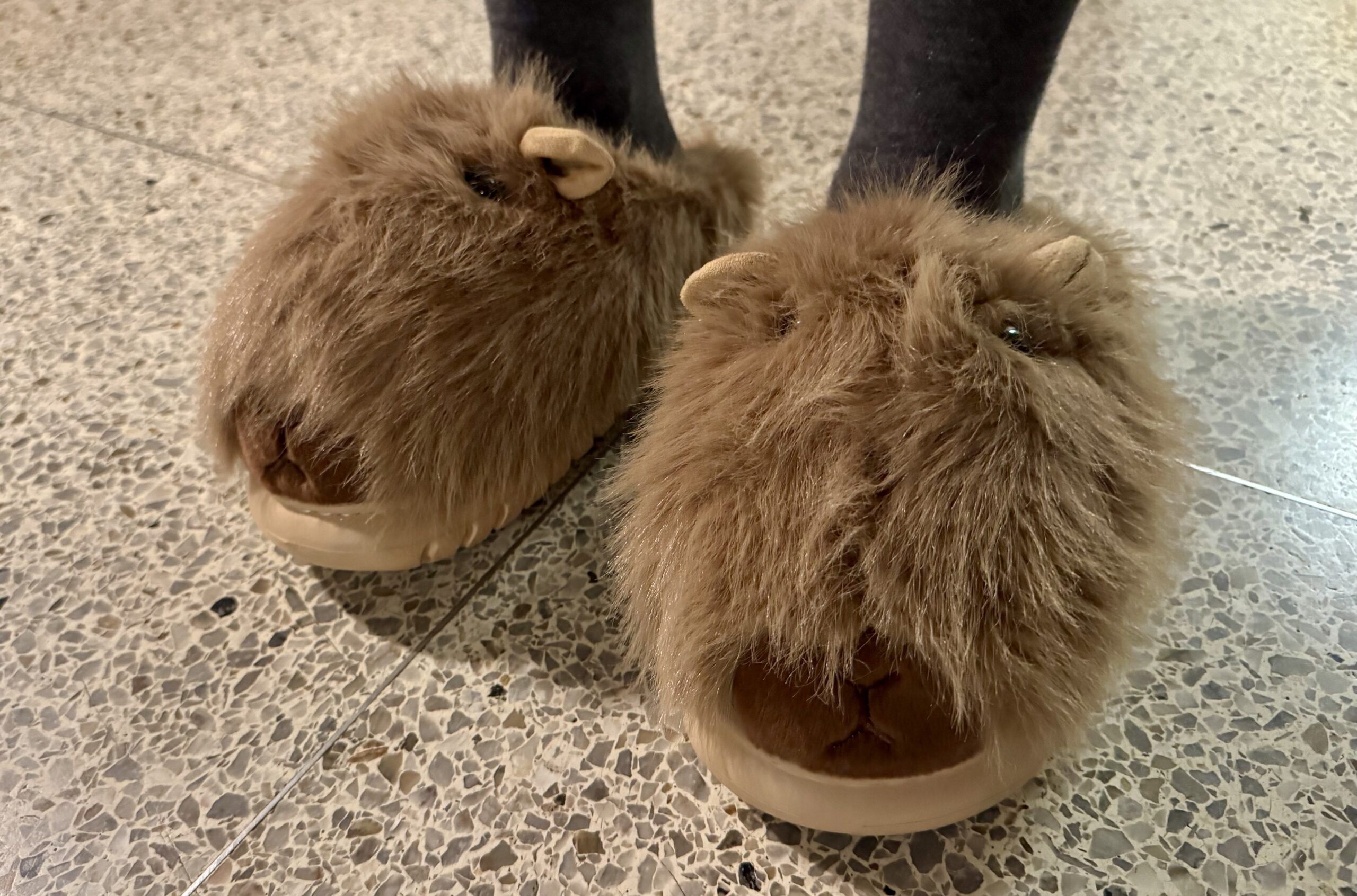 Hinter den Haaren hört man nicht mehr auf.